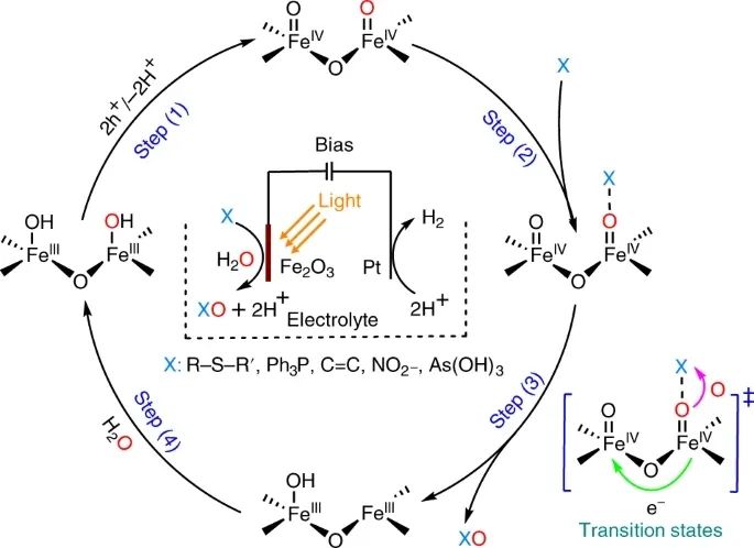 章宇超/陳春城/趙進(jìn)才Nature Catalysis：加點(diǎn)水，讓?duì)?Fe2O3實(shí)現(xiàn)對(duì)多種物質(zhì)的氧化