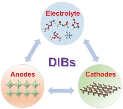 中科院深圳先進院唐永炳AEM：雙離子電池的進展與展望