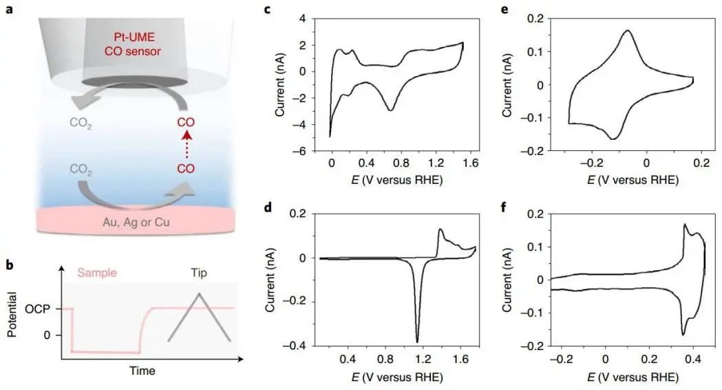 Nat. Catal.：溶液中不含金屬陽(yáng)離子的Cu、Au和Ag電極上無(wú)CO2電還原