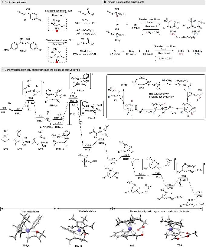 上海有機(jī)所&復(fù)旦Nature Catalysis：E-型烯醛/烯酮合成新策略！