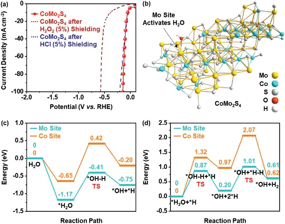 AFM：高電導率CoMo2S4用于電催化析氫及其作用機制