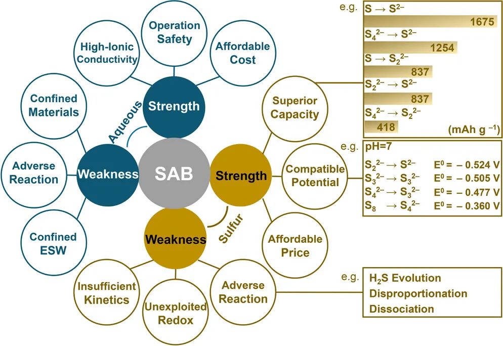 晁棟梁教授JACS綜述: 硫基水系電池：電化學(xué)和策略
