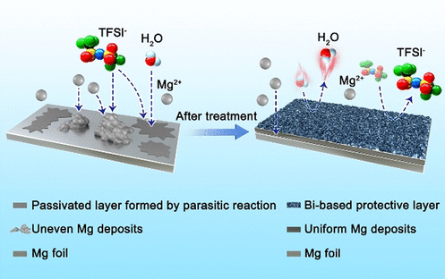 ACS Energy Lett.：用于非腐蝕性電解液中鎂金屬負(fù)極的鉍基保護層