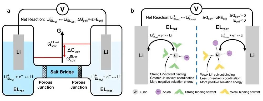 崔屹JACS：首次實驗測得鋰離子溶劑化能！