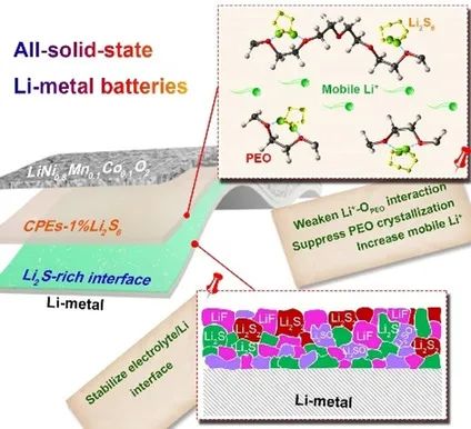 Goodenough&李玉濤等Angew: 用于全固態(tài)鋰金屬電池的Li2S6集成PEO基聚合物電解質(zhì)