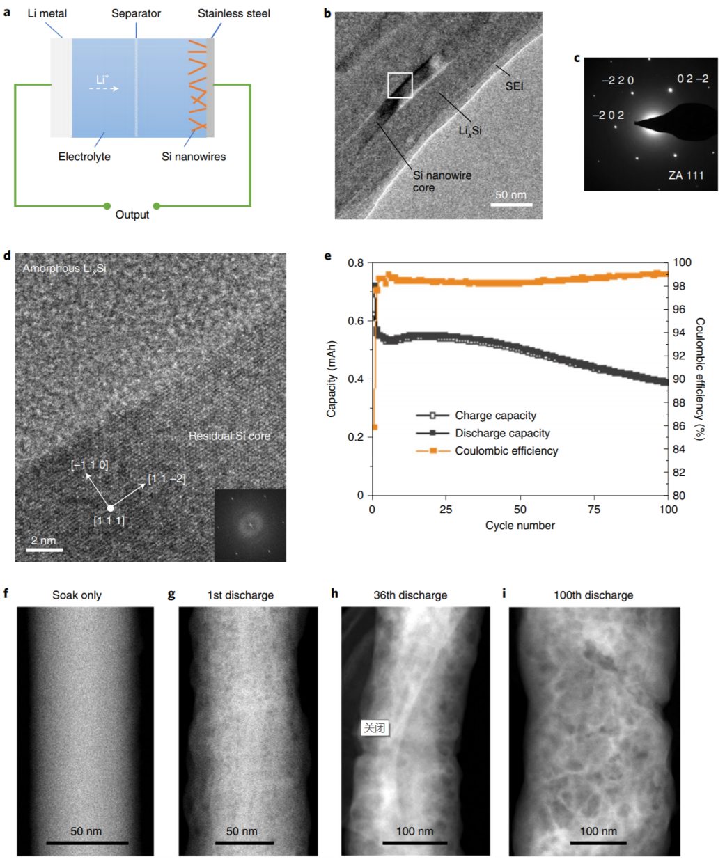 眼見(jiàn)為實(shí)！王崇民等人Nature Nanotechnology：冷凍電鏡揭示Si容量損失原因