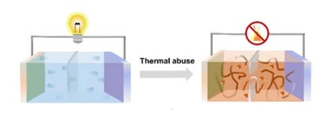 張強/程新兵AM：用于安全鋰金屬電池的熱響應(yīng)電解質(zhì)