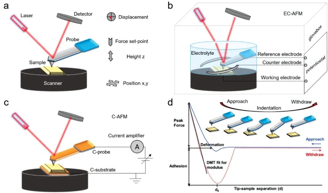 Advanced Energy Materials：利用原位電化學原子力顯微鏡表征電池