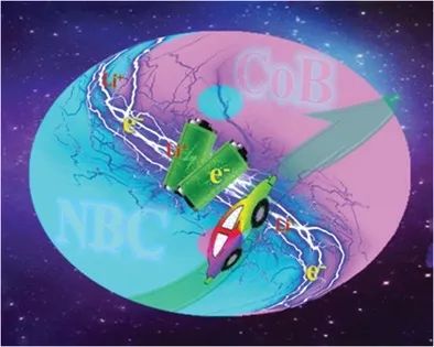 物構(gòu)所王瑞虎AM: 同時提高鋰硫電池能量密度和壽命的親硫CoB異質(zhì)結(jié)構(gòu)納米片的界面電子工程