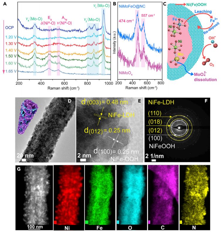 瘋狂收割頂刊！“OER重構(gòu)”大匯總：AFM/Matter/Angew/Nano Energy等