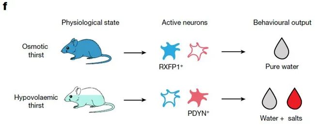 南開大學(xué)美女本科生發(fā)表Nature論文，將赴加州理工學(xué)院深造