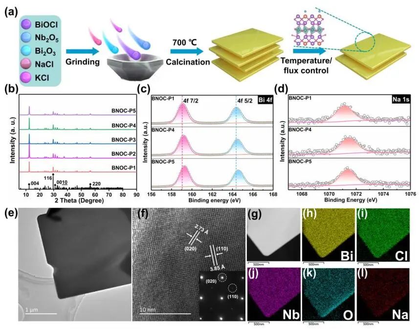 計算頂刊成果速遞：3篇Angew、2篇Nat. Commun.、JACS、AFM、Small等！