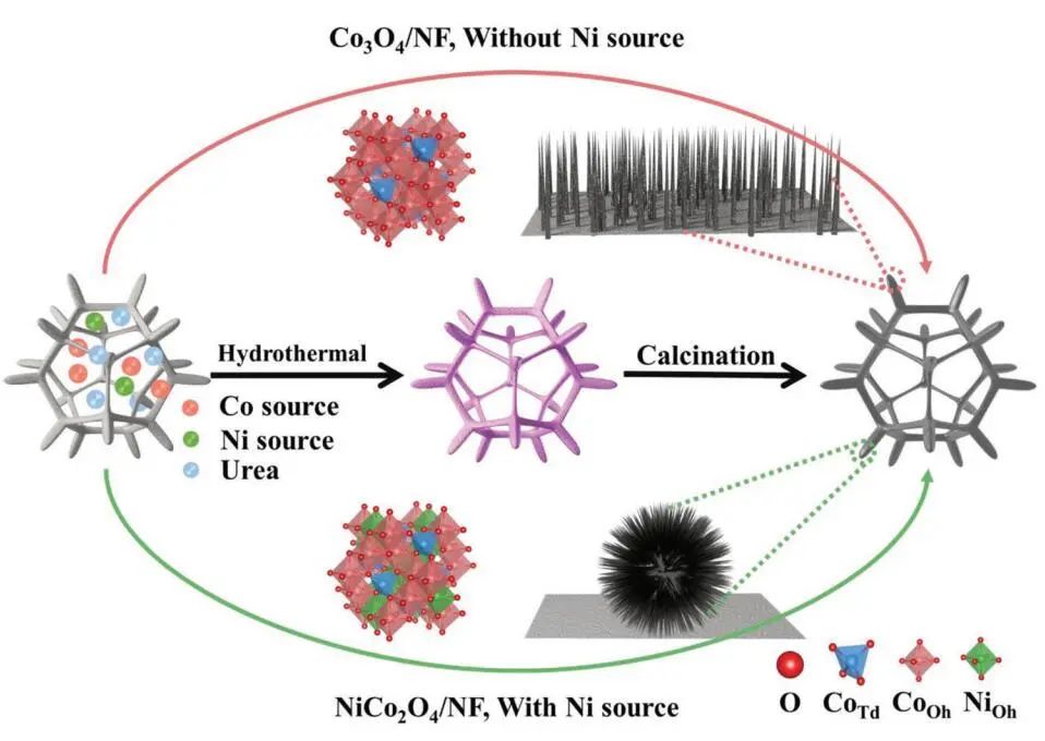 計算頂刊成果速遞：3篇Angew、2篇Nat. Commun.、JACS、AFM、Small等！