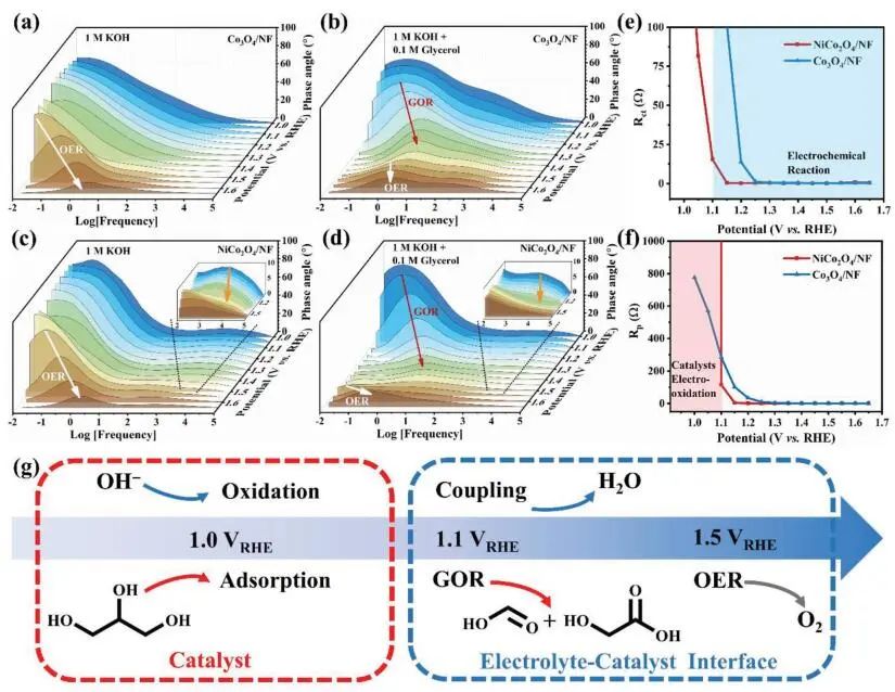 計算頂刊成果速遞：3篇Angew、2篇Nat. Commun.、JACS、AFM、Small等！