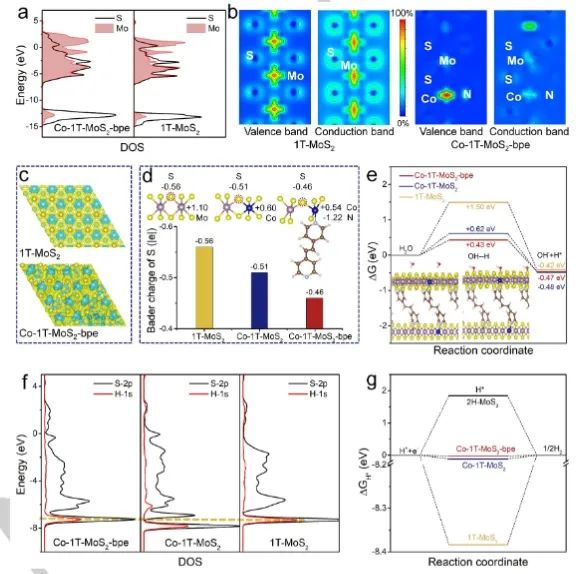 董斌/柴永明Angew：配體調(diào)節(jié)活性中心，促進(jìn)Co摻雜1T-MoS2電催化堿性析氫
