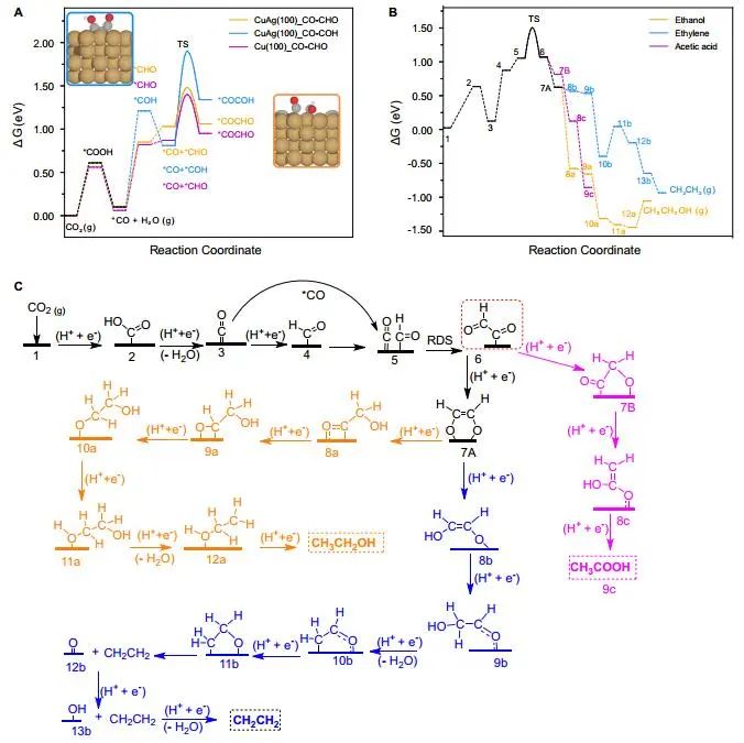 計算頂刊成果速遞：3篇Angew、2篇Nat. Commun.、JACS、AFM、Small等！