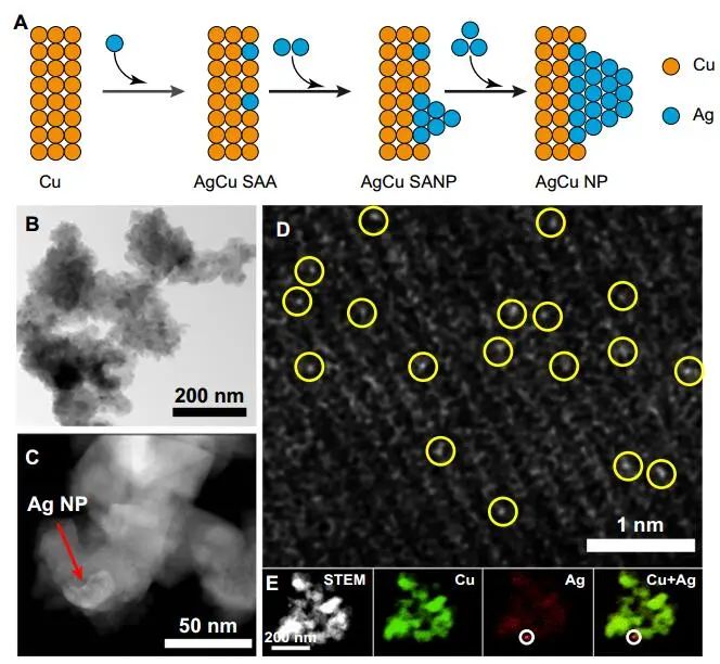 計算頂刊成果速遞：3篇Angew、2篇Nat. Commun.、JACS、AFM、Small等！