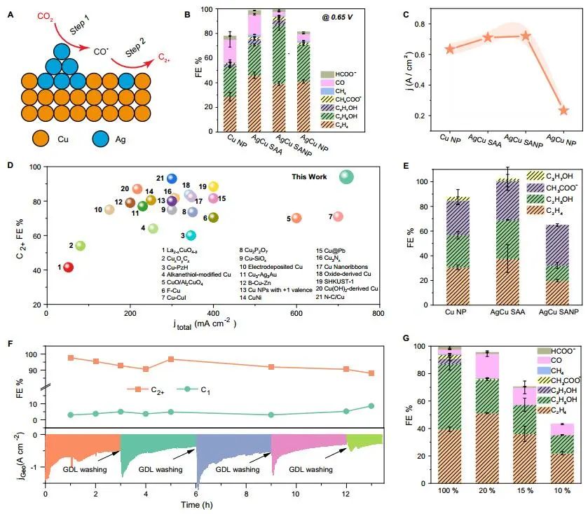 計算頂刊成果速遞：3篇Angew、2篇Nat. Commun.、JACS、AFM、Small等！