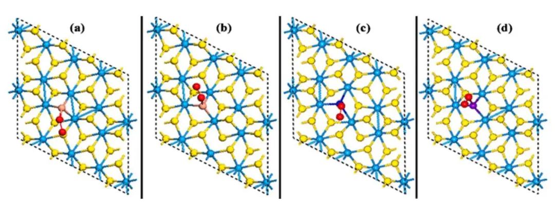 純計算Comp. Mater. Sci.：銅系金屬摻雜1T'WS2作為ORR和HER的高效雙功能電催化劑