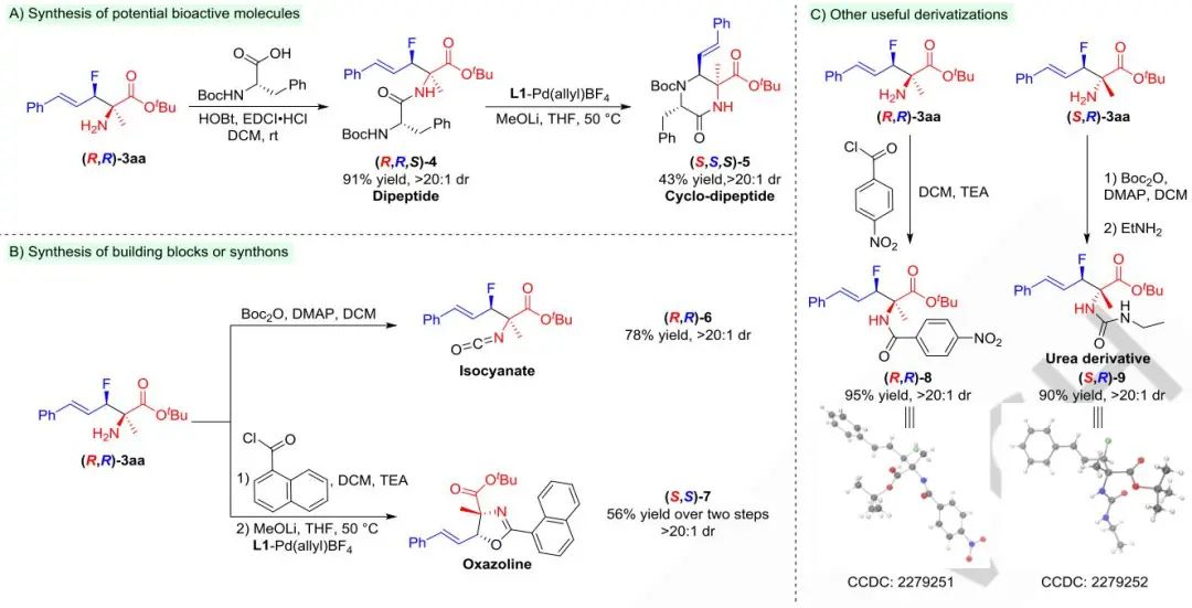 張萬斌等?Angew：Pd/Cu/Li三元體系助力合成氟化氨基酸！