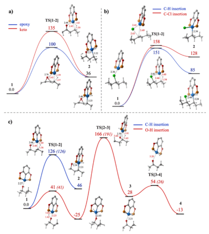 ACS Catalysis：塑料垃圾回收利用中的均相催化