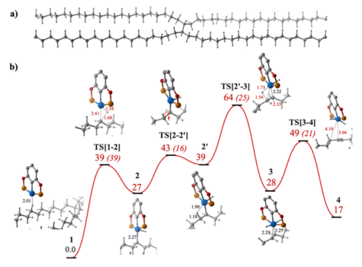 ACS Catalysis：塑料垃圾回收利用中的均相催化