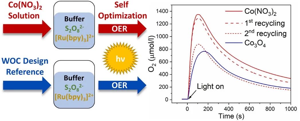 催化頂刊集錦：JACS、Angew.、ACS Energy Lett.、ACS Nano、ACS Catal.等最新成果