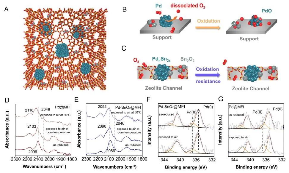 計算頂刊成果速遞：3篇Angew、2篇Nat. Commun.、JACS、AFM、Small等！