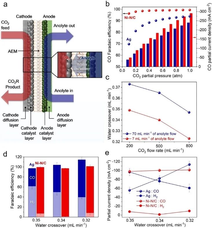 催化頂刊集錦：JACS、Angew.、ACS Energy Lett.、ACS Nano、ACS Catal.等最新成果