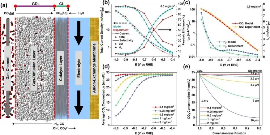 催化頂刊集錦：JACS、Angew.、ACS Energy Lett.、ACS Nano、ACS Catal.等最新成果