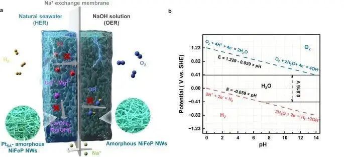 華科大李箐/王譚源，最新Nature子刊！