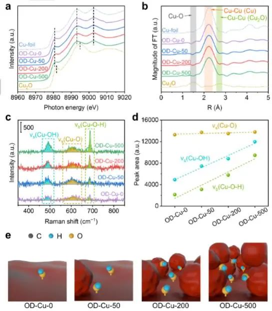 催化頂刊集錦：Nature子刊、JACS、Angew.、AFM、Nano Letters、ACS Catal.等成果