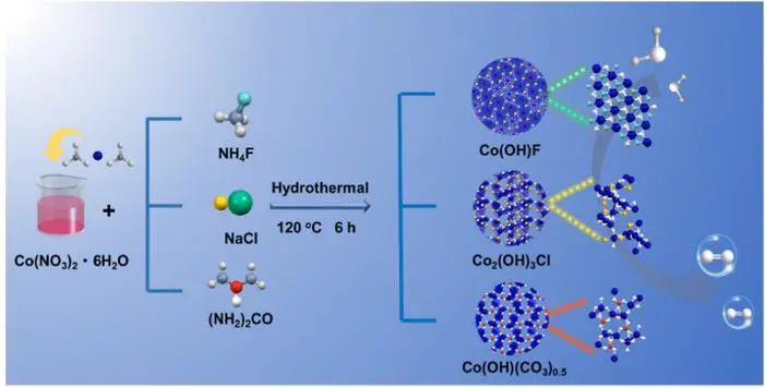 催化頂刊集錦：Nature子刊、JACS、Angew.、AFM、Nano Letters、ACS Catal.等成果