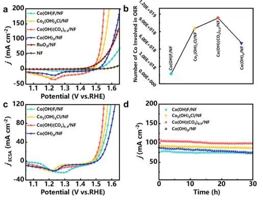 催化頂刊集錦：Nature子刊、JACS、Angew.、AFM、Nano Letters、ACS Catal.等成果