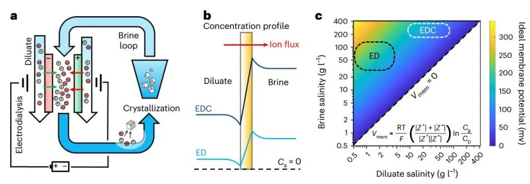 林士弘/仝鐵錚Nature子刊：電滲析結(jié)晶實(shí)現(xiàn)零液體排放！
