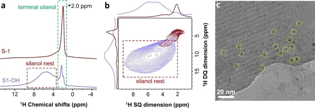 浙大肖豐收/王亮，最新Nature子刊！