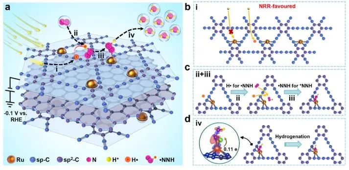 JACS：氫自由基作用大，與N2結(jié)合實現(xiàn)低電位電催化NH3合成