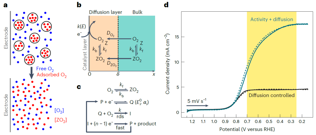 最新Nature Catalysis，在微孔中增強(qiáng)電催化氧還原活性！