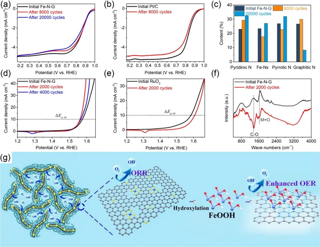 催化頂刊合集：JACS、Angew.、AFM、Small、Appl. Catal. B、JEC等成果