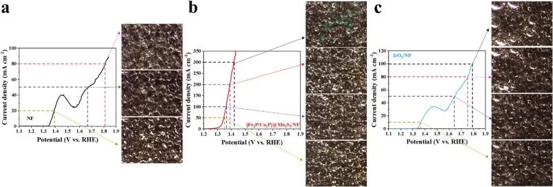 Chem. Eng. J.：利用空間限制效應(yīng)和異質(zhì)結(jié)構(gòu)實(shí)現(xiàn)高效尿素電解