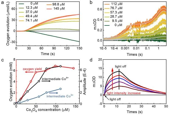 催化頂刊集錦：JACS、Nature子刊、ACS Catal.、AFM、Small、Carbon Energy等最新成果！