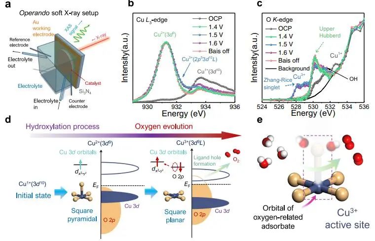 催化頂刊集錦：JACS、Nature子刊、ACS Catal.、AFM、Small、Carbon Energy等最新成果！