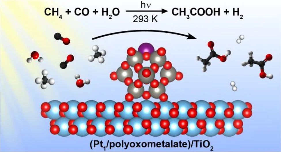 催化頂刊集錦：AFM、JACS、Adv. Sci.、ACS Nano、JMCA、CEJ等成果