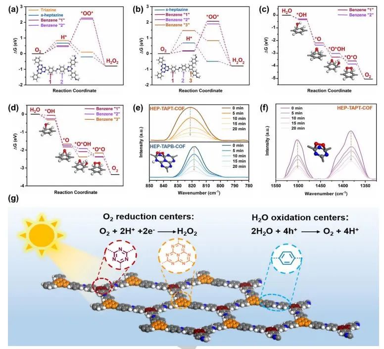 【計算+實驗】頂刊集錦：3篇Angew 、3篇ACS Catalysis、2篇Small等最新成果精選！