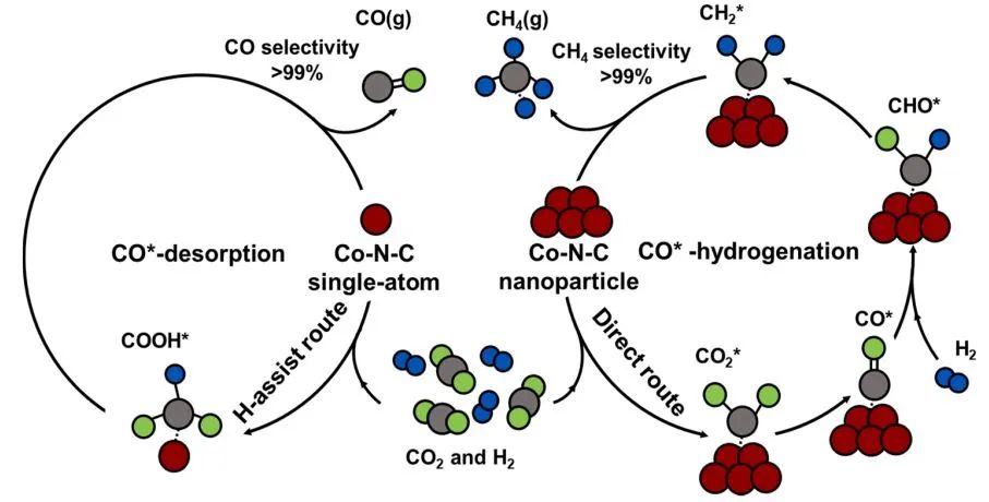 頂刊集錦：Nat. Chem.、AEM、AFM、ACS Catalysis、Small、ACB等計算成果