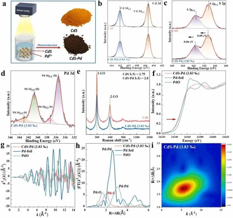 8篇催化頂刊：JACS、ML、JMCA、Small Methods、Small、Appl. Catal. B.等成果