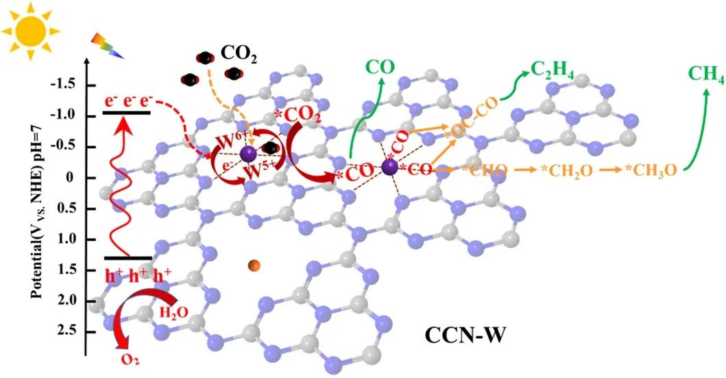 中大劉升衛(wèi)Appl. Catal. B：利用活性中心協(xié)同調(diào)節(jié)W6+摻雜晶體g-C3N4納米棒光催化CO2還原回收太陽能燃料