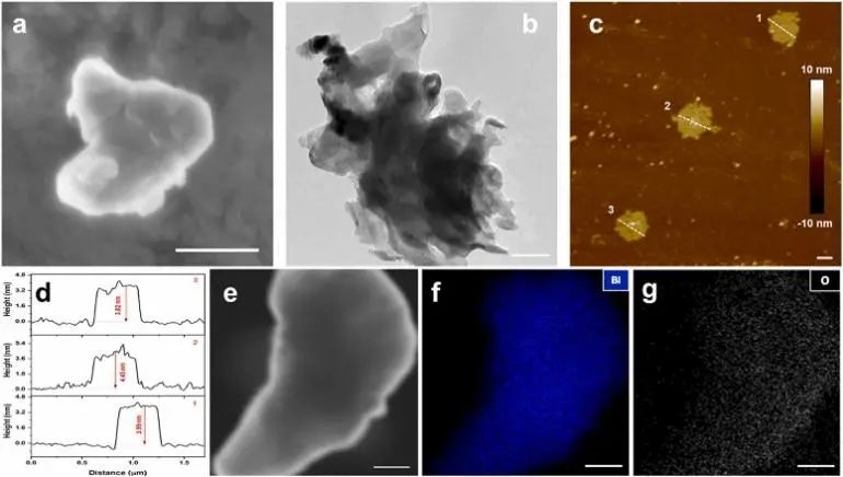 8篇催化頂刊：Nat. Commun.、JACS、Angew.、Nat. Catal.、Nano Energy等成果