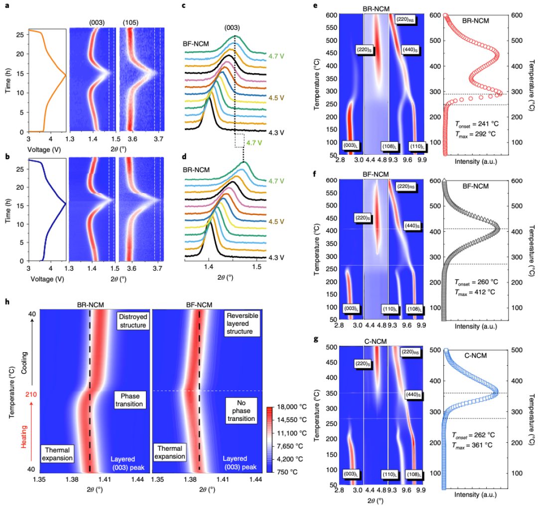 大牛合作最新Nature Energy：鋰電新認(rèn)識(shí)！