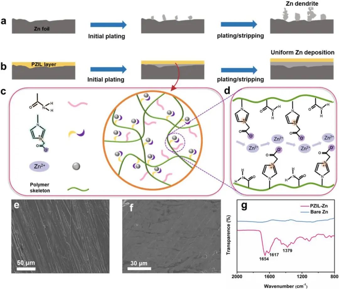 麥立強(qiáng)/徐林ACS Energy Lett.: 兩性離子雙功能層，實(shí)現(xiàn)2600小時(shí)鍍鋅/剝離！